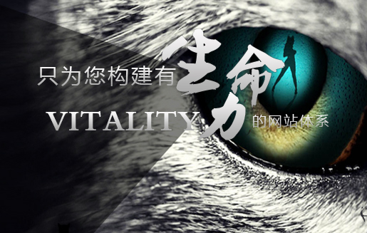 集團(tuán)網(wǎng)站建設(shè)案例